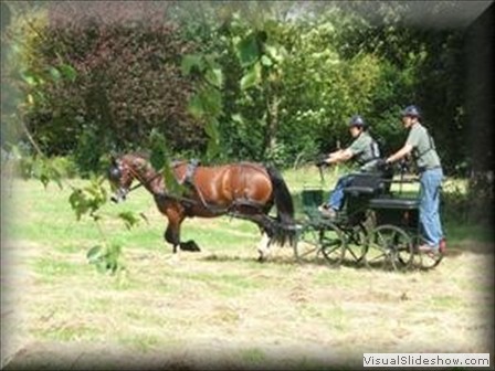 riseholme2009s