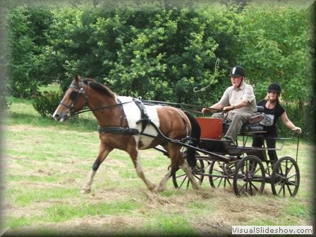 riseholme2009t