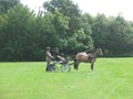 bagmoor190812b