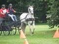 bagmoor190812d