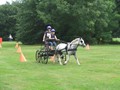 bagmoor190812e