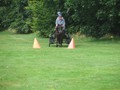 bagmoor190812f