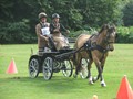 bagmoor190812g