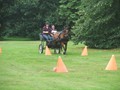 bagmoor190812h