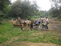 bagmoor190812i