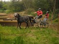 bagmoor190812j