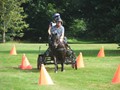 bagmoor190812k