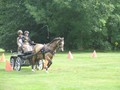 bagmoor190812m