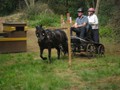 bagmoor190812n