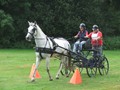 bagmoor190812r