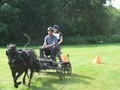 bagmoor190812u