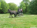 dscf4119