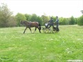 dscf4142