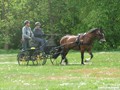 dscf4146