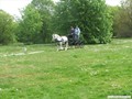 dscf4148