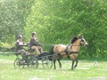 dscf4168