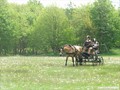 dscf4171