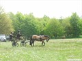 dscf4174