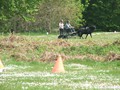 dscf4177