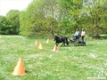 dscf4184
