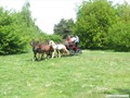 dscf4187