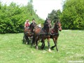 dscf4188
