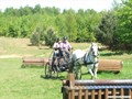 dscf4228