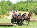 dscf4241