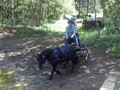 Richard1
