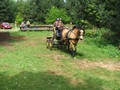 joanne13