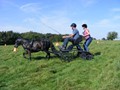 beelsby090912_1
