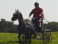 beelsby090912_2