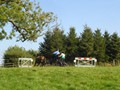beelsby090912_3