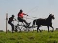 beelsby090912_4