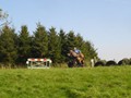 beelsby090912_5