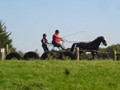 beelsby090912_6