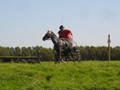 beelsby090912_7