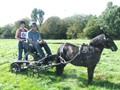beelsby090912b