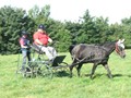 beelsby090912c