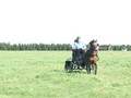 beelsby090912d