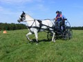 beelsby090912e
