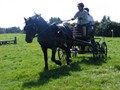 beelsby090912f