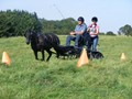 beelsby090912g