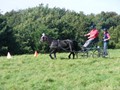 beelsby090912h