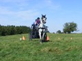 beelsby090912j