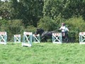 beelsby090912l