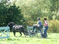 beelsby090912m