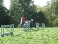 beelsby090912o