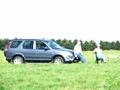 beelsby090912s