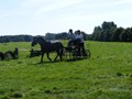 beelsby090912t